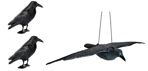 Hillfield Schwarzer Rabe fliegend oder sitzend Kunststoff Taubenschreck Taubenabwehr Vogelschreck (2 Raben stehend + 1 Rabe fliegend) von Hillfield