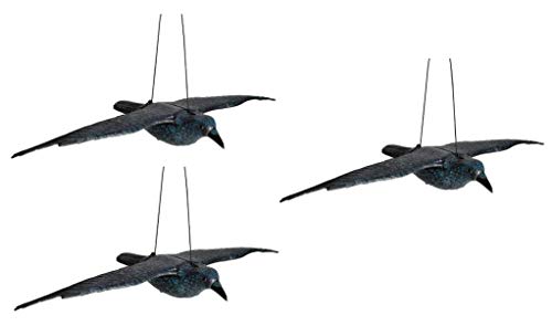 Hillfield Schwarzer Rabe fliegend oder sitzend Kunststoff Taubenschreck Taubenabwehr Vogelschreck (3 Raben fliegend) von Hillfield