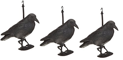 hillfield Schwarzer Rabe fliegend oder sitzend Kunststoff Taubenschreck Taubenabwehr Vogelschreck (3 Raben stehend) von Hillfield