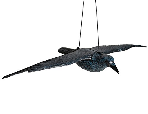 Schwarzer Rabe fliegend oder sitzend Kunststoff Taubenschreck Taubenabwehr Vogelschreck (1 Rabe fliegend 80 cm Spannweite) von Hillfield