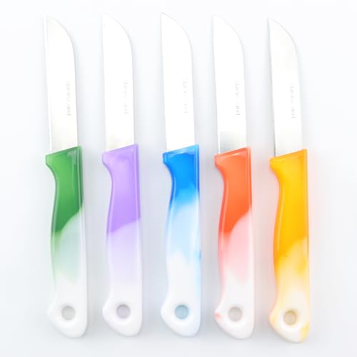 Hilpert 1 Stück Küchenmesser farbiger Griff, 17 cm lang, glatte Klinge, Obstmesser Gemüsemesser Allzweckmesser Schälmesser Hilpert 1 Stück Küchenmesser farbiger Griff, 17 cm lang, glatte Klinge, Obstmesser Gemüsemesser Allzweckmesser Schälmesser von Hilpert