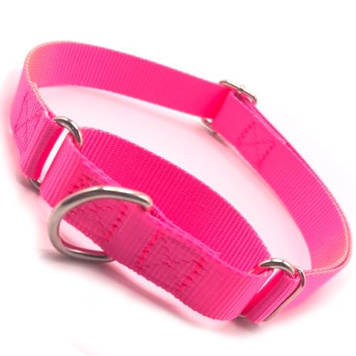 Hellblaues Martingal-Halsband für Hunde, kein Zug Würge-Hundehalsband Flucht Beweis Cinch Hundetrainingshalsbänder einstellbar für kleine mittlere große Rasse Haustier Hunde Hellblaues Martingal-Halsband für Hunde, kein Zug Würge-Hundehalsband Flucht Beweis Cinch Hundetrainingshalsbänder einstellbar für kleine mittlere große Rasse Haustier Hunde von HimyBB