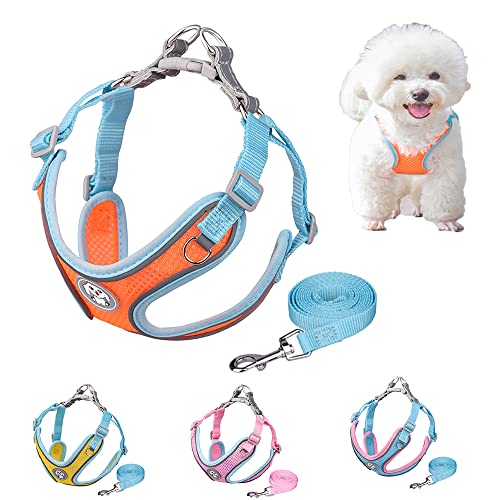 Hundegeschirr und Leine, Step-in Air Allwetter-Mesh Step in Weste Geschirr für kleine und mittelgroße Hunde, Orange, M von HimyBB