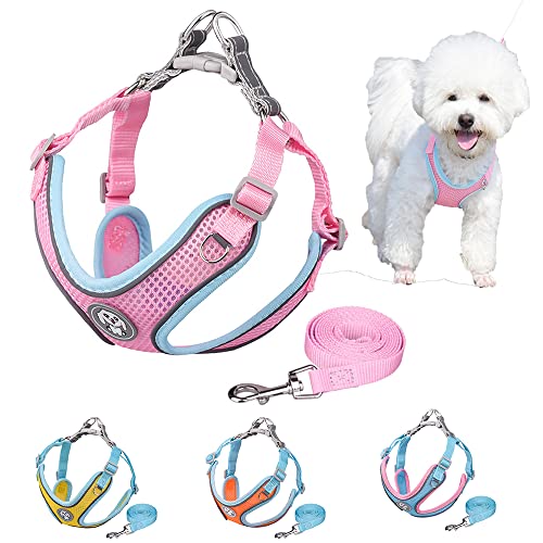 Hundegeschirr und Leine, Step-in Air All Weather Mesh Step in Vest Geschirr für kleine und mittelgroße Hunde, Rosa M von HimyBB