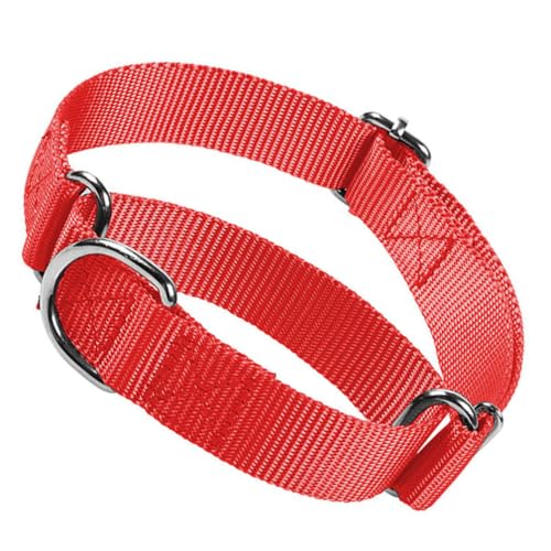 Schwarzes Hundewürgehalsband, Escape Proof Martingal Hundehalsband No Pull Cinch Dog Training Collars Adjustable for Small Medium Large Breed Pet Dogs von HimyBB