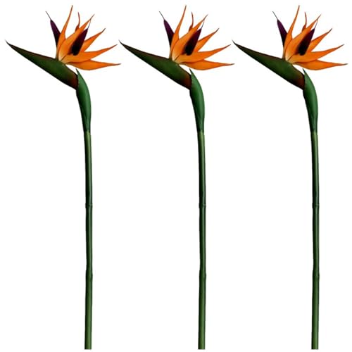 3 Stück Paradiesvogel-Imitat Seidenblumen in Form eines Paradiesvogels realistische Strelitzia Reginae-Kunstpflanzen aus weichem PVC für zu Hause 3 Stück Paradiesvogel-Imitat Seidenblumen in Form eines Paradiesvogels realistische Strelitzia Reginae-Kunstpflanzen aus weichem PVC für zu Hause von Hintyne