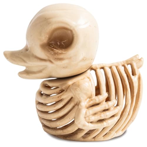 Halloween-Skelett 6 x 4 x 5 Zoll realistisches Entenskelett aus Kunststoff gruseliger Totenkopf Halloween-Enten für drinnen und draußen Requisite Party Trick oder Leckerli-Dekor Halloween-Skelett 6 x 4 x 5 Zoll realistisches Entenskelett aus Kunststoff gruseliger Totenkopf Halloween-Enten für drinnen und draußen Requisite Party Trick oder Leckerli-Dekor von Hintyne