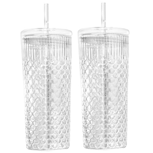 Hintyne Glasbecher mit Deckel und Strohhalmen 2 Stück 650 ml Glasbecher Skala Textur Glasbecher temperaturbeständig runde Trinkgläser für Saftgetränke transparent von Hintyne