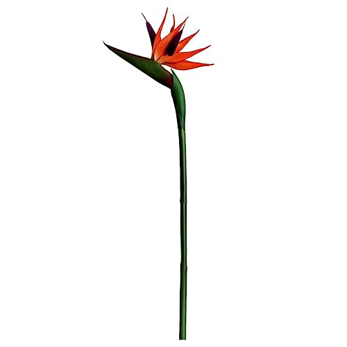 Hintyne Künstliche Blume Paradiesvogel Gefälschte Kunststoff Strelitzia Blume mit Langem Stiel für Home Dekoration Künstliche Strelitzia Blume Hintyne Künstliche Blume Paradiesvogel Gefälschte Kunststoff Strelitzia Blume mit Langem Stiel für Home Dekoration Künstliche Strelitzia Blume von Hintyne