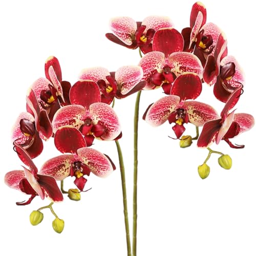 Hintyne Künstliche Orchidee 2 Stück Orchideen künstliche Blumen 70 cm realistische künstliche Orchideen pflegeleicht dekorative Kunstorchidee für Vasen Hochzeitsfeiern Heimdekoration von Hintyne