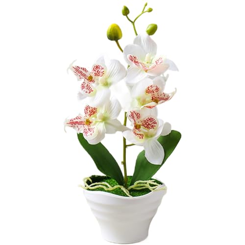 Hintyne Kunstblumen künstliche Orchidee 5 Köpfe künstliche Orchideen Topfpflanze 26,9 cm realistische Orchideen künstliche Blumen im Topf Phalaenopsis Orchidee mit Vase für Hochzeit von Hintyne