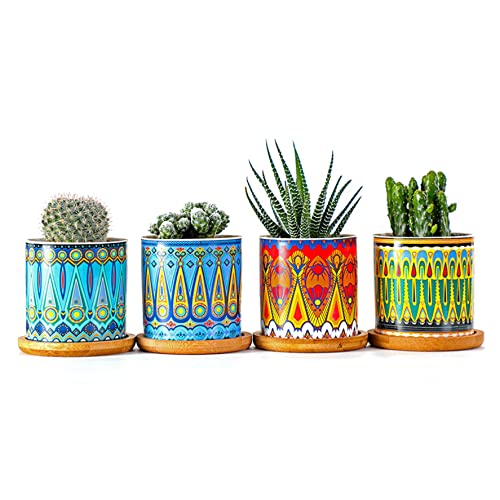 Hintyne Sukkulenten Blumentopf Keramik Pflanztopf Blumentöpfe Für Drinnen Und Draußen Kaktus Pflanzentopf Kleiner Keramik Blumentopf Pflanzenhalter Für Zuhause Büro Dekoration Datura 4 Stück von Hintyne