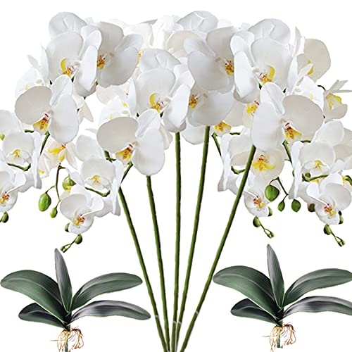 HinyoCo 5 Künstliche Phalaenopsis-Blumen ,80 cm Künstliche Orchidee mit Künstliche Orchidee Blätter 2 Bündeln , Party, Büro, Terrasse, Hof, Heim-Blumendekoration von Hinyo