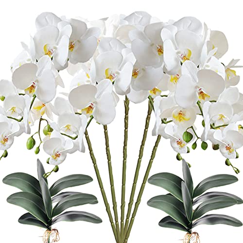 HinyoCo 5 Künstliche Phalaenopsis-Blumen ,80 cm Künstliche Orchidee mit Künstliche Orchidee Blätter 4 Bündeln , Party, Büro, Terrasse, Hof, Heim-Blumendekoration (Weiß) von Hinyo