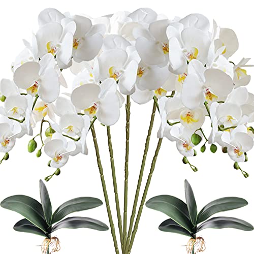 HinyoCo 5 Stück Orchideenblüten, 8 Köpfe künstliche Phalaenopsis mit 2 Blättern, Orchideenblüten, Schmetterling, für Heimdekoration (weiß) von Hinyo