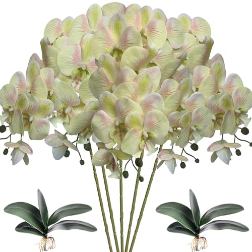 HinyoCo 5 Künstliche Phalaenopsis-Blumen,80 cm Künstliche Orchidee mit Künstliche Orchidee Blätter 2 Bündeln, Party, Büro, Terrasse, Hof, Heim-Blumendekoration (Hellgrün rosa) von HinyoCo