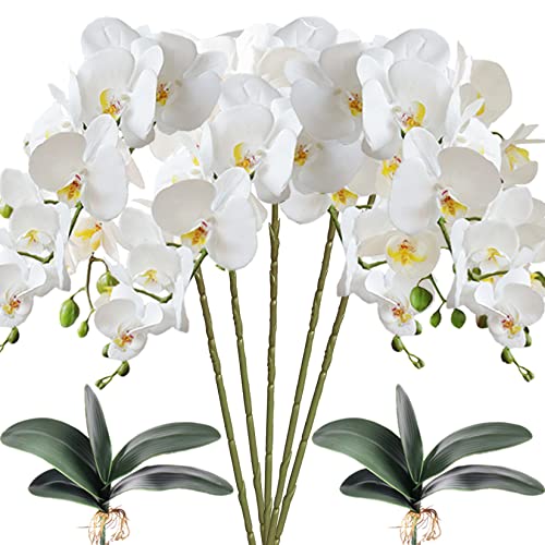 HinyoCo 5 Künstliche Phalaenopsis-Blumen,80 cm Künstliche Orchidee mit Künstliche Orchidee Blätter 2 Bündeln, Party, Büro, Terrasse, Hof, Heim-Blumendekoration (Weiß) von HinyoCo