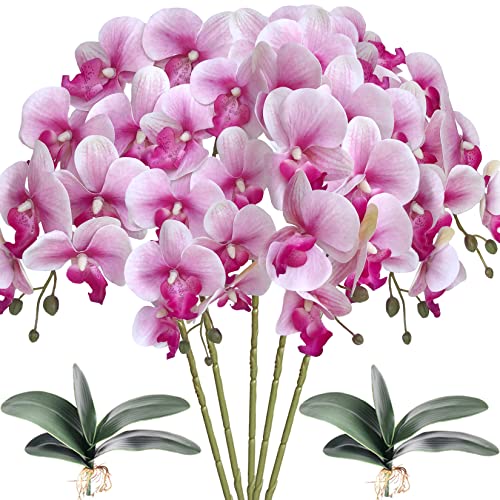 HinyoCo 5 Künstliche Phalaenopsis-Blumen,80 cm Künstliche Orchidee mit Künstliche Orchidee Blätter 2 Bündeln, Party, Büro, Terrasse, Hof, Heim-Blumendekoration (Weiße Blume violetter Kern) von HinyoCo