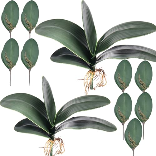 HinyoCo Künstliche Grüne Simulation Motte Orchidee Blatt,26 cm Künstliches BlattEchtes Latex Touch Grüne Pflanze für Blumen Garten Bonsai Dekor (11) von HinyoCo