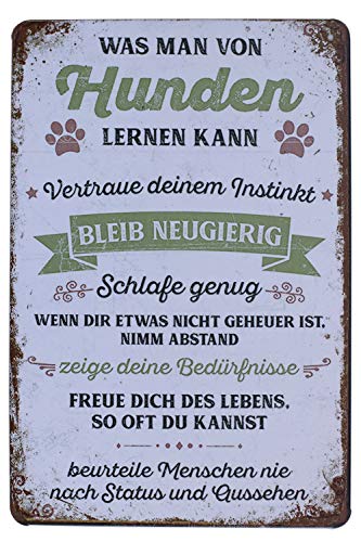 Hioni Was Man Von Hunden Lernen Kann Bleib Neugierig Vintage Blechschild Poster Wandschild Wand Dekoration Metallschild Türschild von Hioni