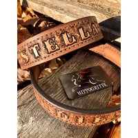 Hundehalsband 100% Leder von HippogriffCreation