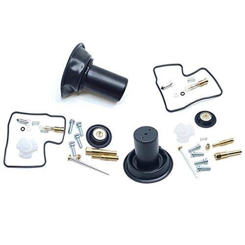 Hippotech 2er Pack Vergaser-Reparatursatz Membran Schwimmnadelventil Dichtung Vakuumkolben für Honda Steed Shadow VLX600 VT600 von Hippotech