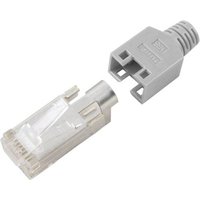 Hirose Electronic RJ45C5E-RT TM11 RJ45-Steckverbinder CAT5e Hirose TM11 RJ45C5E-RT Stecker, gerade P von Hirose Electronic