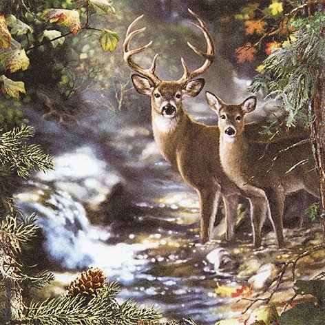 20 Servietten 33x33 cm Tiere im Herbst Reh Waldtiere Hirsch Jagdmotiv von Hirsch