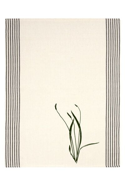 Hirschkind Bio- & Fair-Trade - Geschirrtuch 'Spitzwegerich' naturfarben von Hirschkind