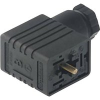 Hirschmann Leitungsdose mit Elektronikeinsatz Schwarz GML 209 NJ GB1 Pole:2 + PE Inhalt: 50St. Hirschmann Leitungsdose mit Elektronikeinsatz Schwarz GML 209 NJ GB1 Pole:2 + PE Inhalt: 50St. von Hirschmann