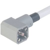 Hirschmann Leitungsstecker mit angespritzter Leitung Grau G 30KW M Pole:3 + PE 931 783-001-100 Inhal von Hirschmann