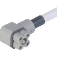 Hirschmann Steckverbinder für Steuerspannung der G-Serie Grau G 4KW 1 F 2M Pole:4 931 805-602-1 Inh Hirschmann Steckverbinder für Steuerspannung der G-Serie Grau G 4KW 1 F 2M Pole:4 931 805-602-1 Inh von Hirschmann
