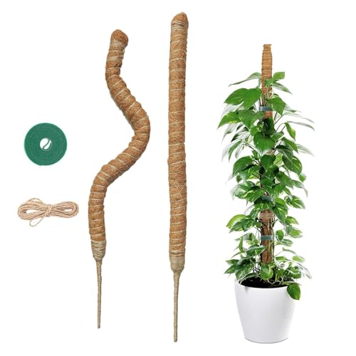 2 Stück 60cm Moosstab für Monstera - Monstera Rankhilfe - Biegsame Pflanzenstütze aus Kokosfaser - Moosstab Mit Hanfseil und Klettverschluss Ausgestattet für das Wachstum von Monstera und Anderen von Hisdricus