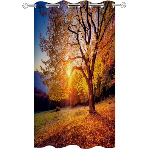 Hiseng 1 Stück Outdoor Vorhänge Wasserdicht Verdunkelungsvorhang mit Ösen, Wald Druck Outdoorvorhänge Wetterfest Sonnenschutz Blickdicht Vorhang für Pavillon (132x182cm,Herbst) von Hiseng