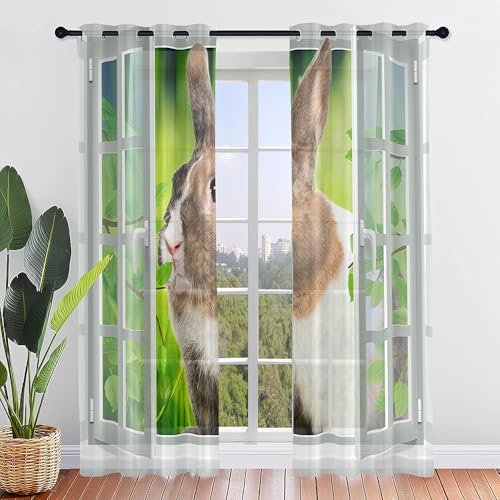 Hiseng 3D Fenstertiere Halbtransparent Voile Vorhänge mit Ösen Durchsichtig Moderne 2er Set Ösenvorhang für Fenster Wohnzimmer Schlafzimmer Transparent Gardine (Kaninchenmuster,140x213cm) von Hiseng