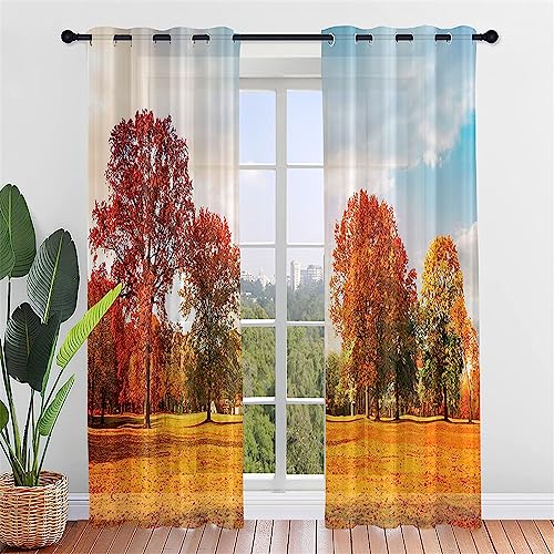 Hiseng Voile Vorhänge mit Ösen Durchsichtig Halbtransparent Ösenvorhang für Fenster Wohnzimmer Schlafzimmer Herbst Moderne Transparent Gardine 2er Set (107x213cm,Roter Himmel) von Hiseng