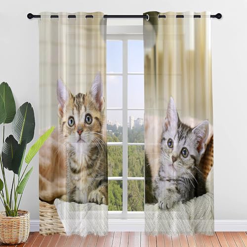 Hiseng Voile Vorhänge mit Ösen Durchsichtig Halbtransparent Ösenvorhang für Fenster Wohnzimmer Schlafzimmer Moderne und Elegante Transparent Gardine 2er Set (140x244cm,Bunte Katze) von Hiseng