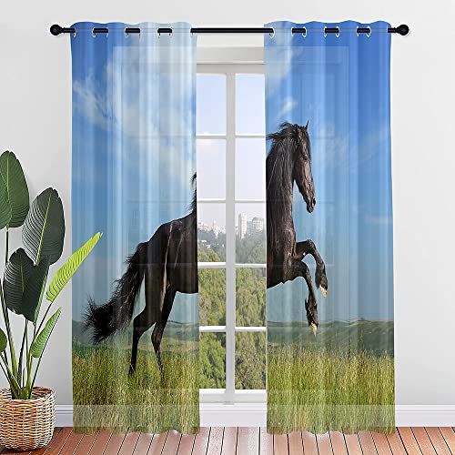 Hiseng Voile Vorhänge mit Ösen Durchsichtig Moderne Halbtransparent Ösenvorhang für Fenster Wohnzimmer Schlafzimmer 3D Druck Elegante Transparent Gardine 2er Set (W107xH213cm,Pferd Muster 5) von Hiseng