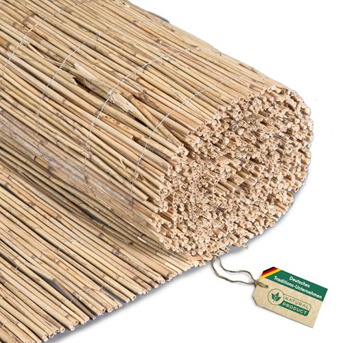 Hiss Reet® Schilf Sichtschutz, Schilfrohrmatte Standard I Perfekter Windschutz & Sichtschutz für Balkon, Zaun & Garten I Verschiedene Größen (100 x 600 cm) von Hiss Reet