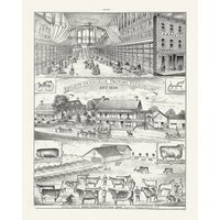 Hastings County, Geschäftsbereiche, 1878, Karte Auf Schwerer Baumwollleinwand, 45 X 65 cm, 18 24" Ca von HistoricMapsofCanada
