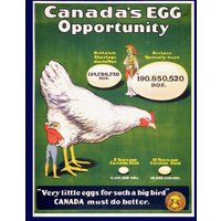 Kanada Ww I Poster, Canada Es Egg Opportunity, 1914, Vintage Poster Auf Schwerer Baumwollleinwand, 50 X 70 cm, 20 25" Ca von HistoricMapsofCanada