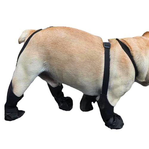 Hitburu Hundeschuhe - rutschfeste Hundepfoten Beinlinge | Schmutzabweisende wasserdichte Beinschützer Für Winter Schnee Regen Wandern Outdoor Training Reisen von Hitburu