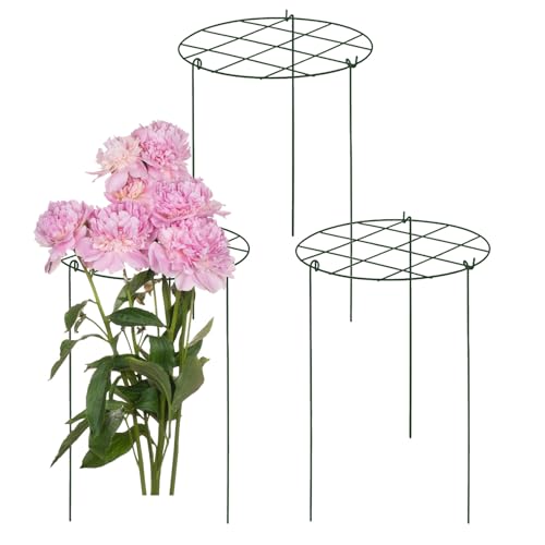 Hitburu Rankgitter Für Topfpflanzen - 3 Stück Metall Gartengitter | Rankgitter Stützen Für Tomaten Rosen Garten Terrasse Balkon Innenbereich von Hitburu