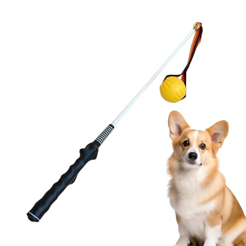 Hitburu Robustes Flirt Pole | Interaktiver Flirtstab Für Hunde - Interaktives Bewegungsspielzeug für Welpen zum Zerrspiel Trainingsstab für Haustiere für Garten Rasen und Hinterhof Hitburu Robustes Flirt Pole | Interaktiver Flirtstab Für Hunde - Interaktives Bewegungsspielzeug für Welpen zum Zerrspiel Trainingsstab für Haustiere für Garten Rasen und Hinterhof von Hitburu