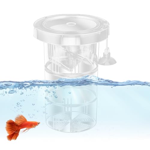 Hitburu Zuchtbox für Aquarien - Separator für Babyfische - Einstellbare Wiederverwendbare Trennwand Für Jungfischaufzucht Betta Laichzeit Guppys Wasserpflanzen von Hitburu