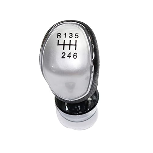 Hiverni Auto Shift Schaltknauf Hebel Gaitor Für Focus Mk2 FL Für Focus Mk3 Für Fiesta Mk7 Für Transit Für Connect für Cmax FL Für Bmax Für Smax(Silber,6 Speed) von Hiverni