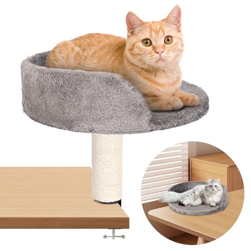Hivexagon Katzen-Schreibtischbett mit Kratzsäule und weicher Plüschpolsterung. Ermöglicht Ihrer Katze, gemeinsam mit Ihnen zu Lernen und zu Arbeiten. Bis zu 4 kg belastbar Hivexagon Katzen-Schreibtischbett mit Kratzsäule und weicher Plüschpolsterung. Ermöglicht Ihrer Katze, gemeinsam mit Ihnen zu Lernen und zu Arbeiten. Bis zu 4 kg belastbar von Hivexagon