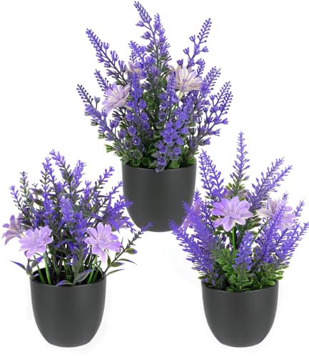 Hixava 3 Stück Kunststoff Lavendel Pflanzen Klein Künstliche Pflanzen mit Topf Green künstlicher Lavendel 20×13 cm im Topf Indoor Dekor Künstliche Pflanzen Wie Echt für Hochzeit Geburtstag Garten von Hixava