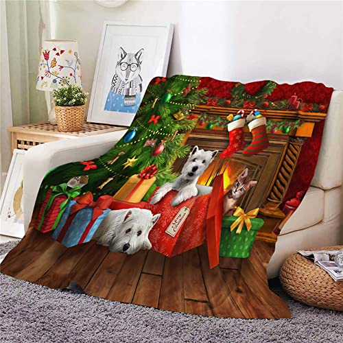Hixingo Kuscheldecke Flanell Kinder Fleecedecke Decke, Weihnachten 3D Drucken Flauschige Weich Warm Wohndecke für Sofa Bett, Dicke Sofadecke Couchdecke Tagesdecke (130x100cm von Hixingo
