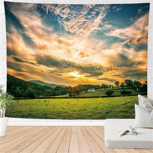 Hixingo Wandteppich Wandbehang Wandtuch 3D Felddruck Tapisserie Aesthetic Zuhause für Wohnzimmer Schlafzimmer Wohnheim Wanddeko, Wandkunst für Zimmer (Rasen,150 * 200cm) von Hixingo